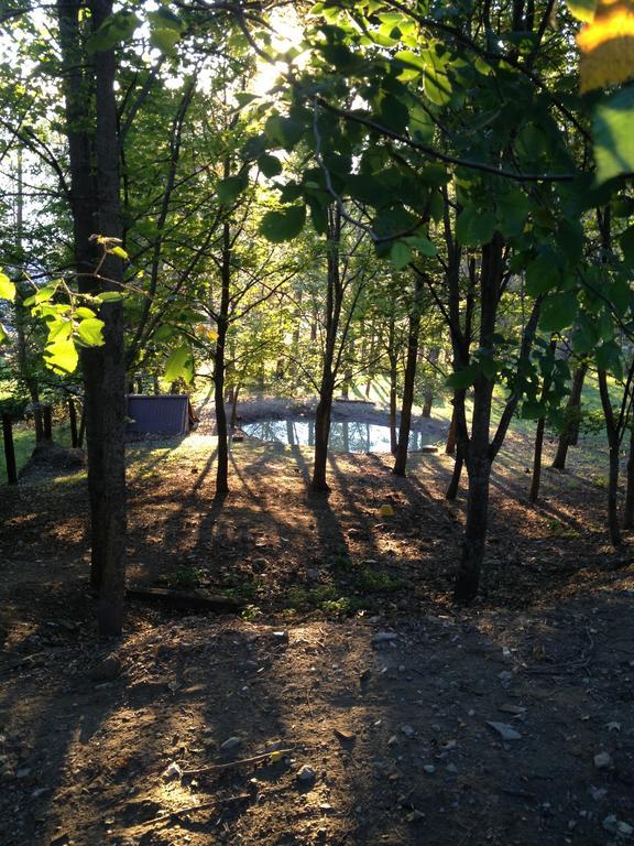 Farmstay Agriturismo Prunara 몬주노 외부 사진