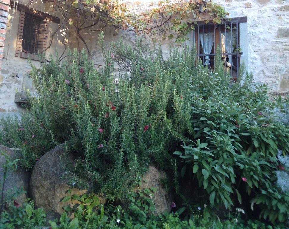Farmstay Agriturismo Prunara 몬주노 외부 사진
